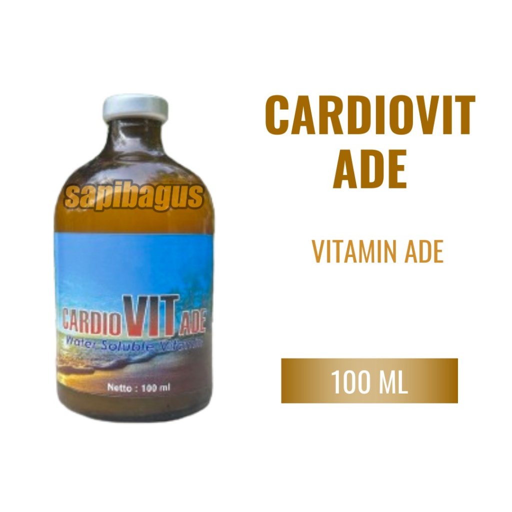 Image cardiovit.jpeg