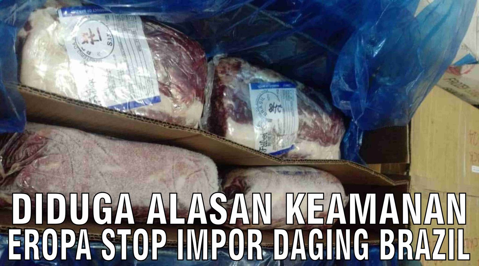 gb-01112024-04.06.56-Diduga-Alasan-Keamanan-Eropa-Stop-Impor-Daging-Brazil.jpg