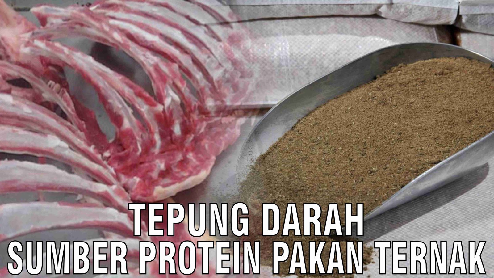 gb-05122024-07.29.31-Tepung-Darah-Sumber-Protein-Pakan-Ternak.jpg