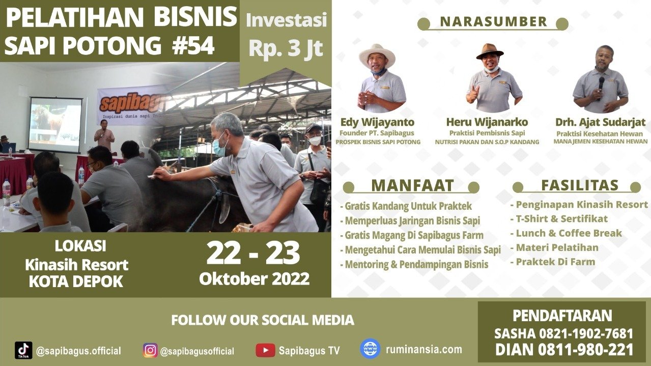 gb-07102022-06.57.37-Pendaftaran-Pelatihan-Bisnis-Sapi-Angkatan-54-Sapibagus-Farm.jpg