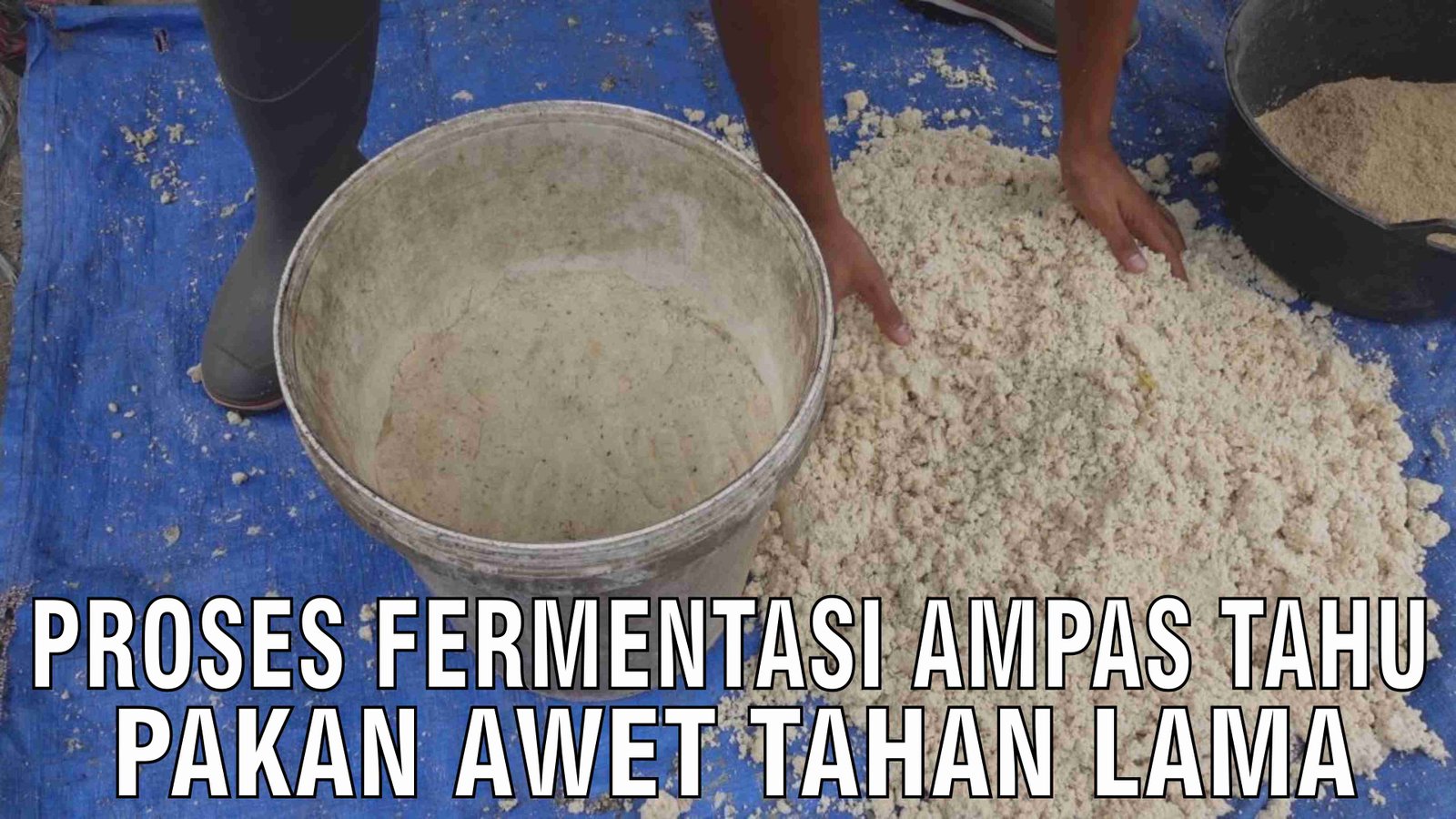 gb-13112024-04.03.40-Proses-Fermentasi-Ampas-Tahu-Pakan-Awet-Tahan-Lama.jpg