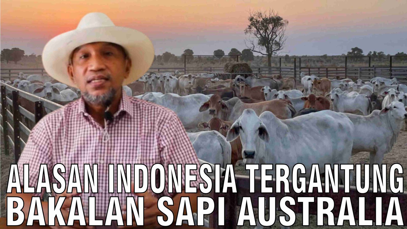 gb-15102024-07.00.53-Alasan-Indonesia-Tergantung-Bakalan-Sapi-Australia.jpg
