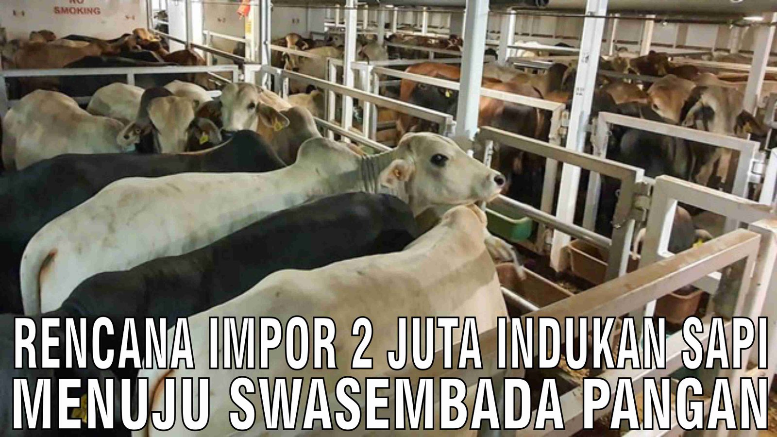 gb-16122024-05.07.31-Rencana-Impor-2-Juta-Sapi-Menuju-Swasembada-Pangan.jpg
