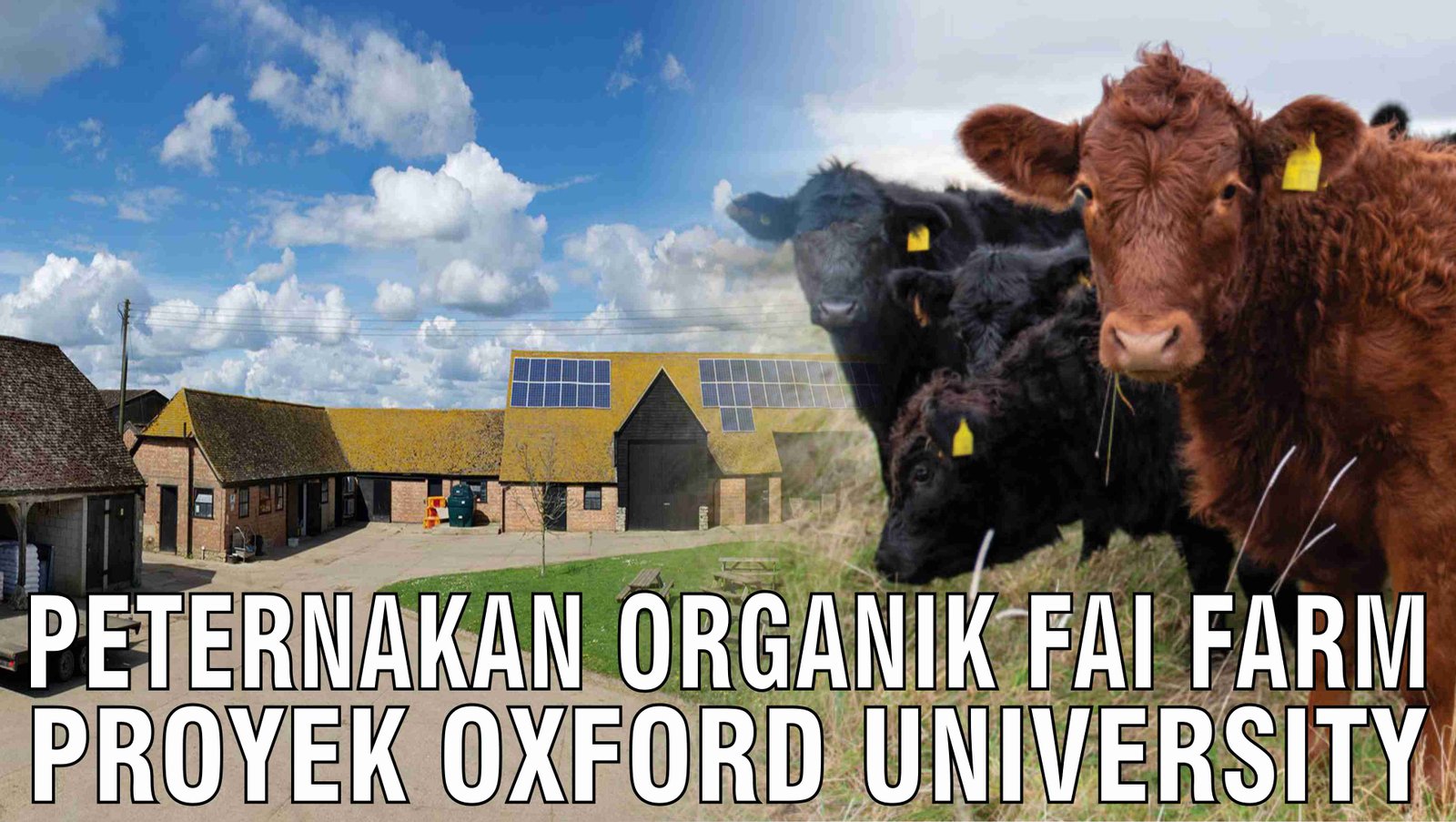 gb-16122024-08.42.00-Peternakan-Organik-FAI-FARM-Proyek-Oxford-University.jpg