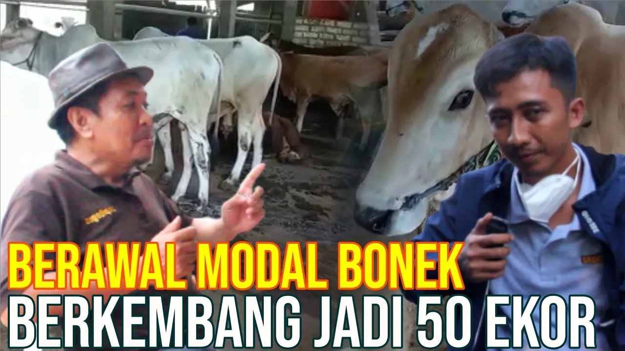 gb-17102023-08.49.09-Pengalaman-Beternak-Sapi-Rembang.jpg