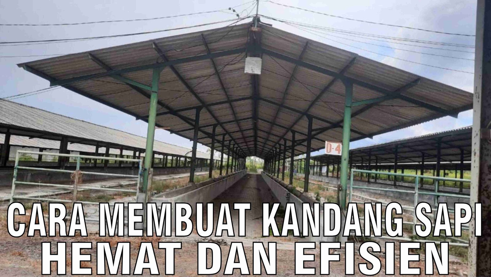 gb-17102024-04.41.15-Cara-Membuat-Kandang-Sapi-Hemat-Dan-Efisien.jpg