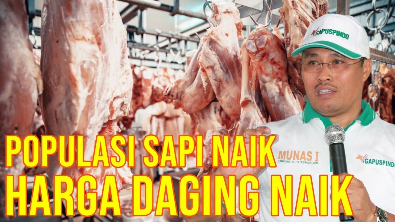 gb-19102023-05.25.28-Daging-Sapi-Naik-Harga-Akibat-Populasi-Meningkat.jpg