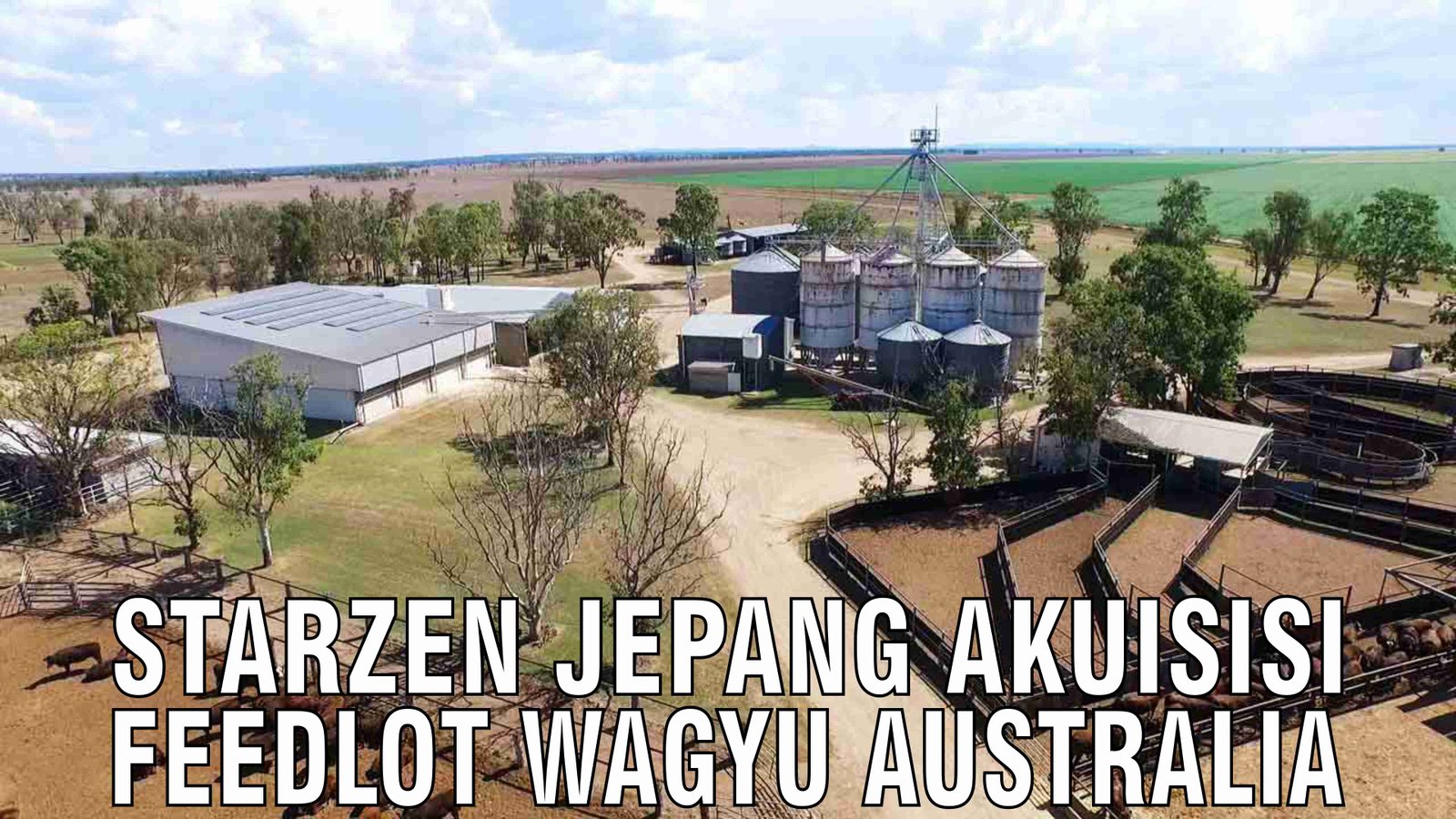 gb-20122024-05.07.10-Starzen-Jepang-Akuisi-Feedlot-Wagyu-Australia.jpg