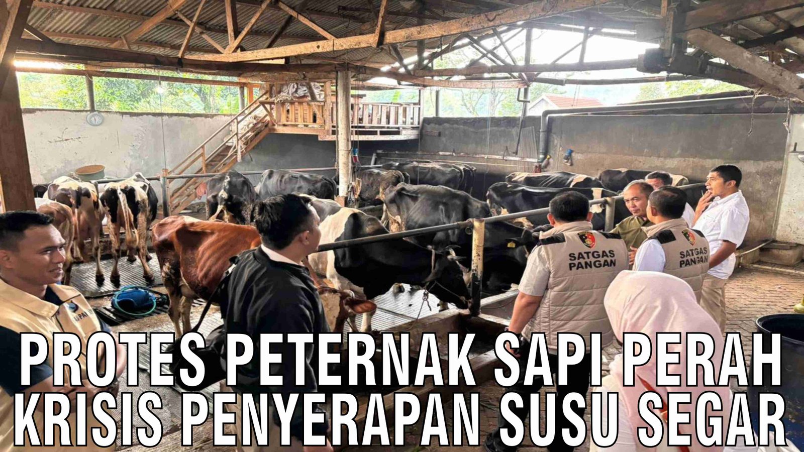 gb-20122024-05.52.28-Protes-Peternak-Sapi-Perah-Krisis-Penyerapan-Susu-Segar.jpg
