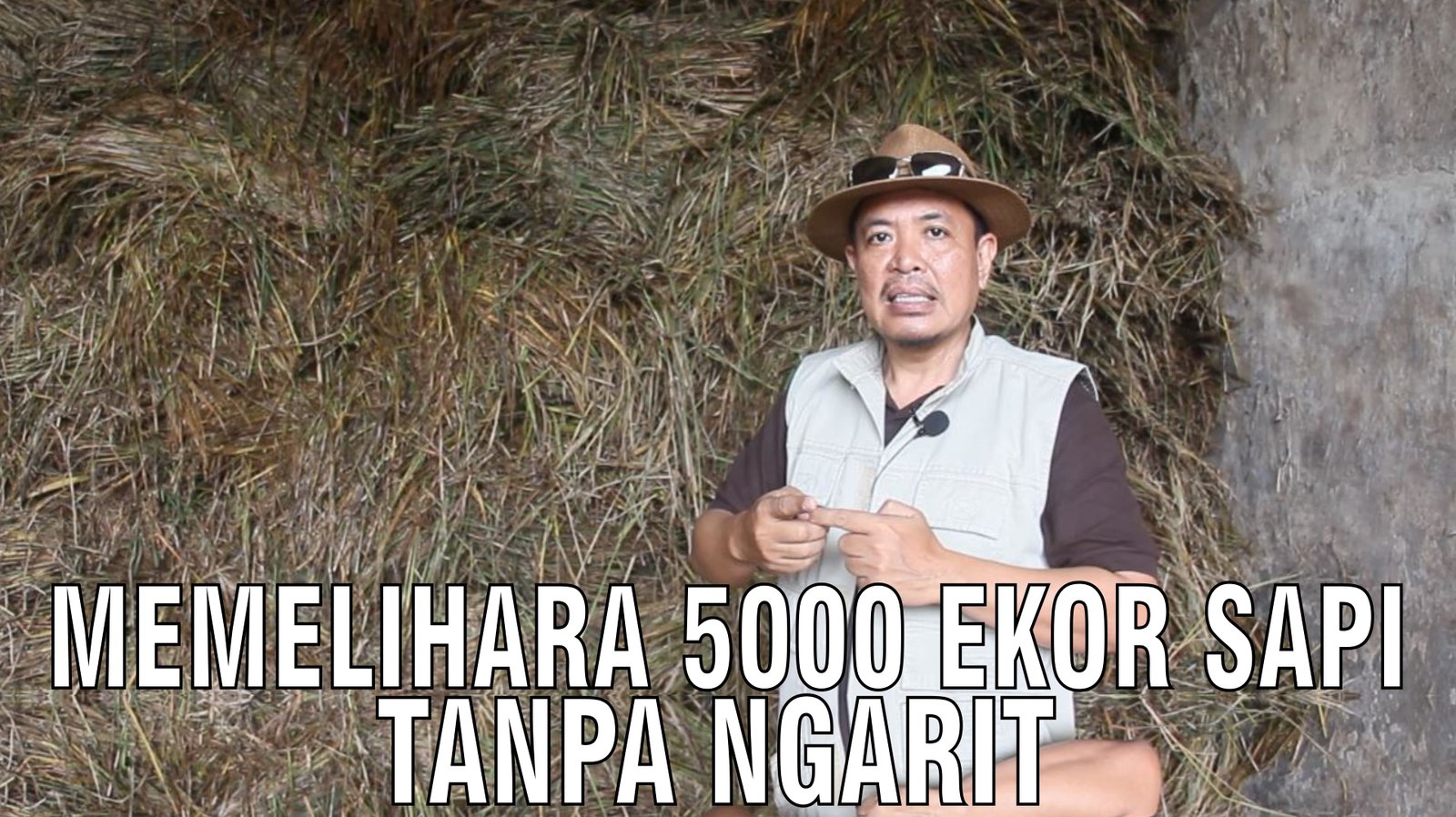 gb-24092024-08.29.00-Memelihara-5000-Ekor-Sapi-Tanpa-Ngarit.jpg