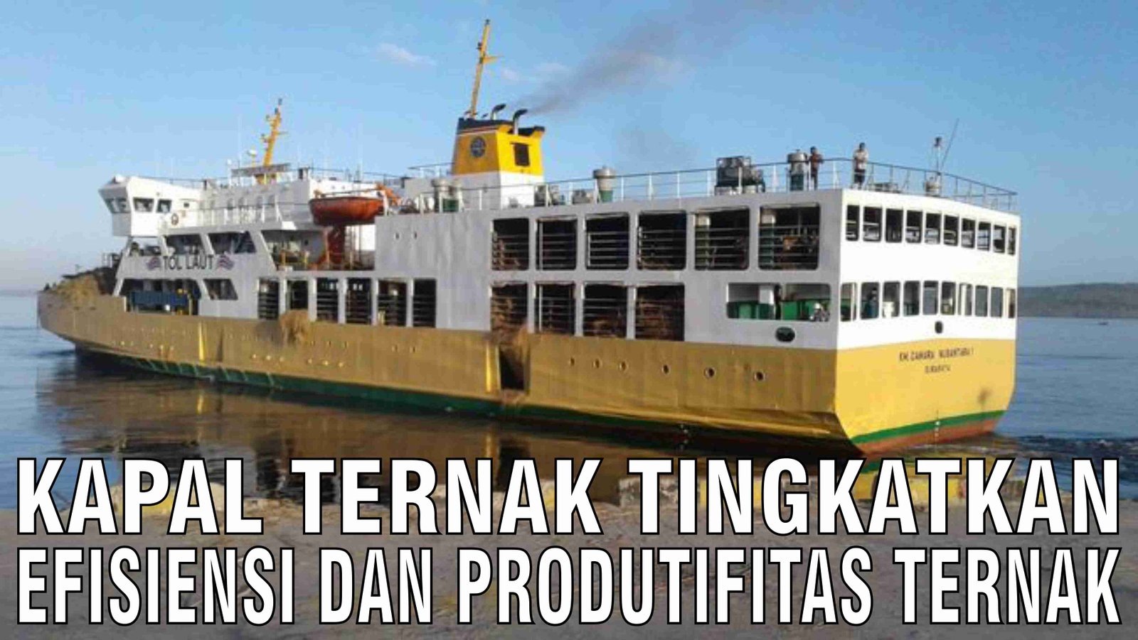 gb-24102024-03.17.24-Kapal-Ternak-Tingkatkan-Efisiensi-Dan-Produktifitas-Ternak-Sapi.jpg