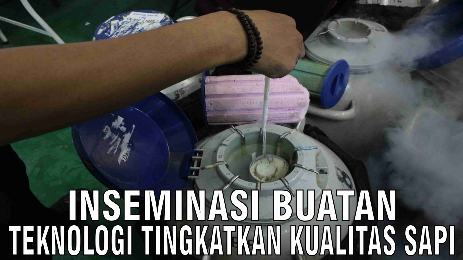 gb-28102024-06.45.12-Inseminasi-Buatan-Teknologi-Tingkatkan-Kualitas-Sapi.jpg