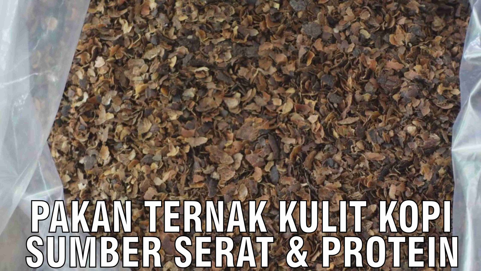 gb-28102024-07.42.39-Pakan-Ternak-Limbah-Kulit-Kopi-Sumber-Serat-Dan-Protein.jpg