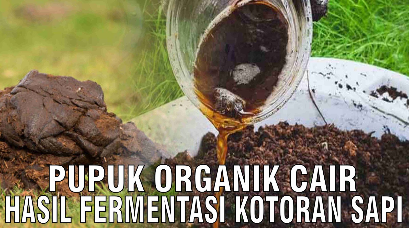 gb-29102024-08.22.36-Pupuk-Organik-Cair-Hasil-Fermentasi-Kotoran-Sapi.jpg