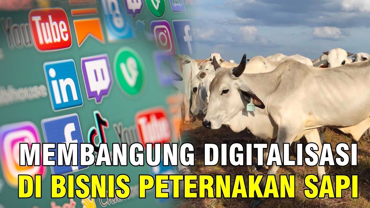 gb-30102023-05.26.37-Institut-Pertanian-Bogor-Magang-Di-Sapibagus-Farm.jpg