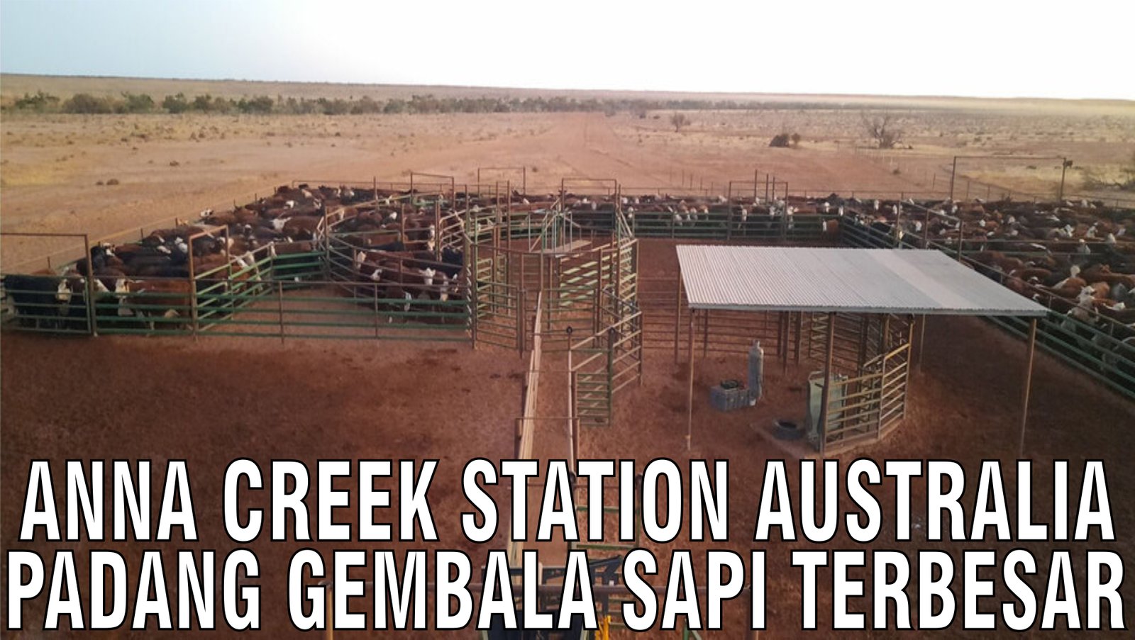 gb-31102024-04.46.50-Anna-Creek-Station-Australia-Padang-Gembala-Sapi-Terbesar.jpg