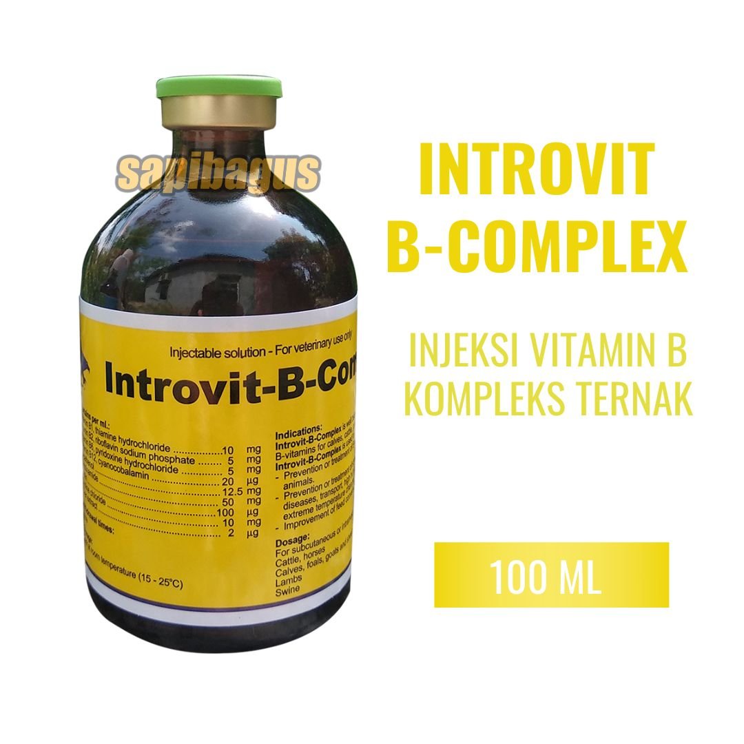 Image introvit-b-complex.jpg