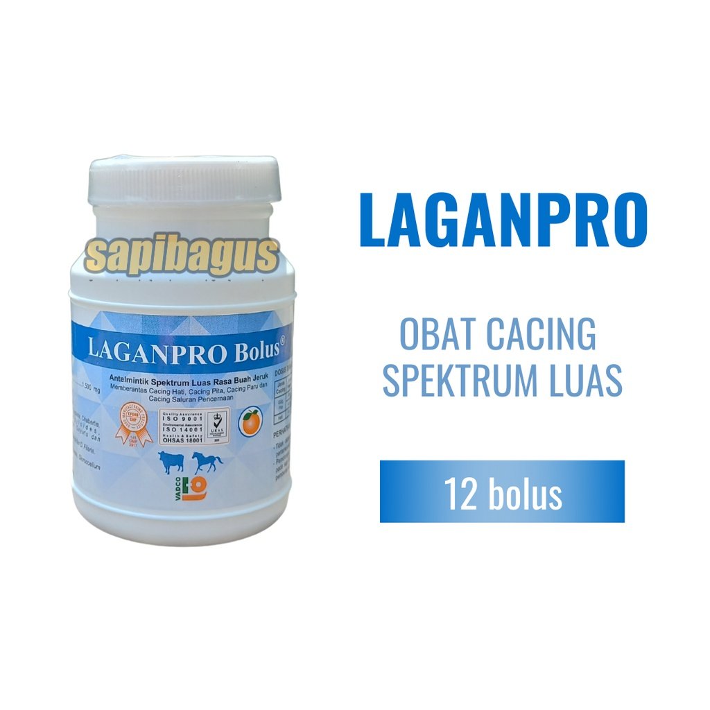 Image laganpro.jpg