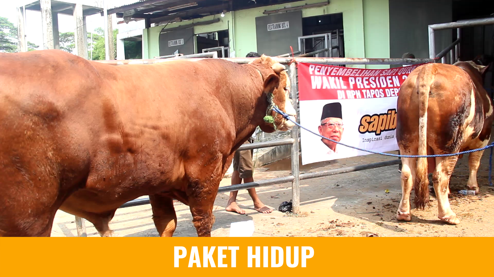  Image - Paket Qurban - paket-hidup.png